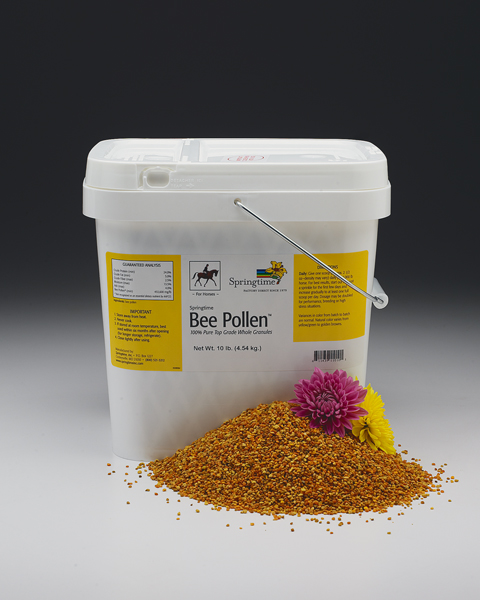 natural bee pollen for horses complete nutrition raw superfood bee pollen and gray hair 480x600 natural bee pollen for horses complete nutrition raw superfood bee pollen and gray hair 480x600