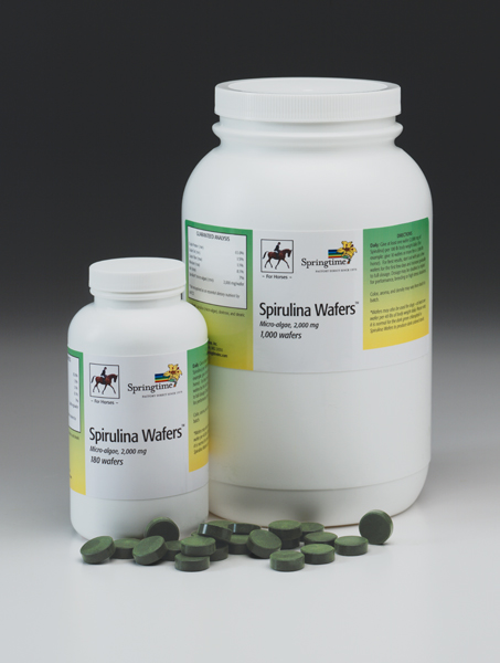 Spirulina Wafers &trade; 