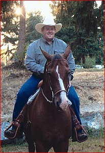 dmg for horses a supplement dmg for horses a supplement
