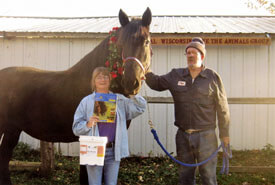 Real Letters Garlic for Horses 2012 Hoel S
