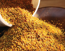 Real Letters Bee Pollen for People art 2102